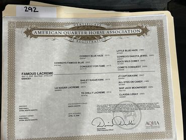 American Quarter Horse Association registration certificate.
