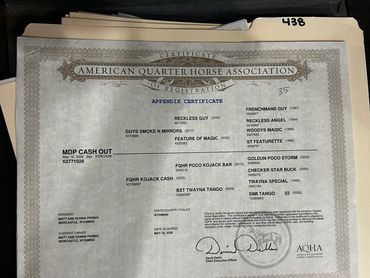 American Quarter Horse Association registration certificate.