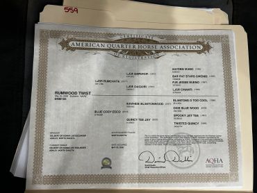 Certificate from the American Quarter Horse Association for Rumwood Twist horse.