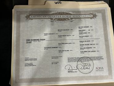 American Quarter Horse Association certificate for High Diamond Tiger.