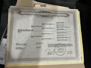 American Quarter Horse Association certificate for High Blue Driftin Oak.
