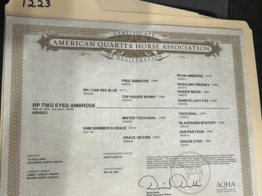 American Quarter Horse Association registration certificate.