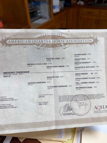 American Quarter Horse Association registration certificate for a horse named Smoking Cherokee.