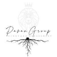 Pavan Group Vineyards
Management & Maintenance 