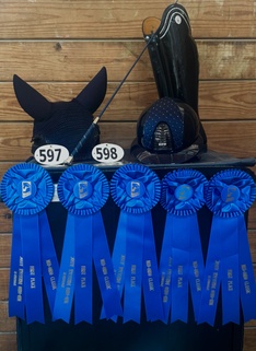 Stromatt Sporthorses