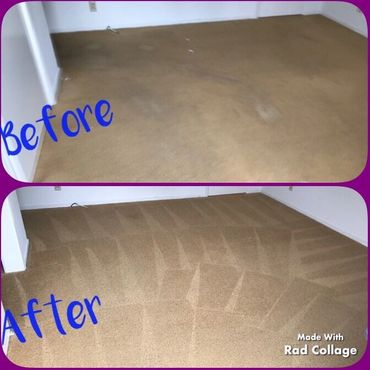 professional carpet cleaning