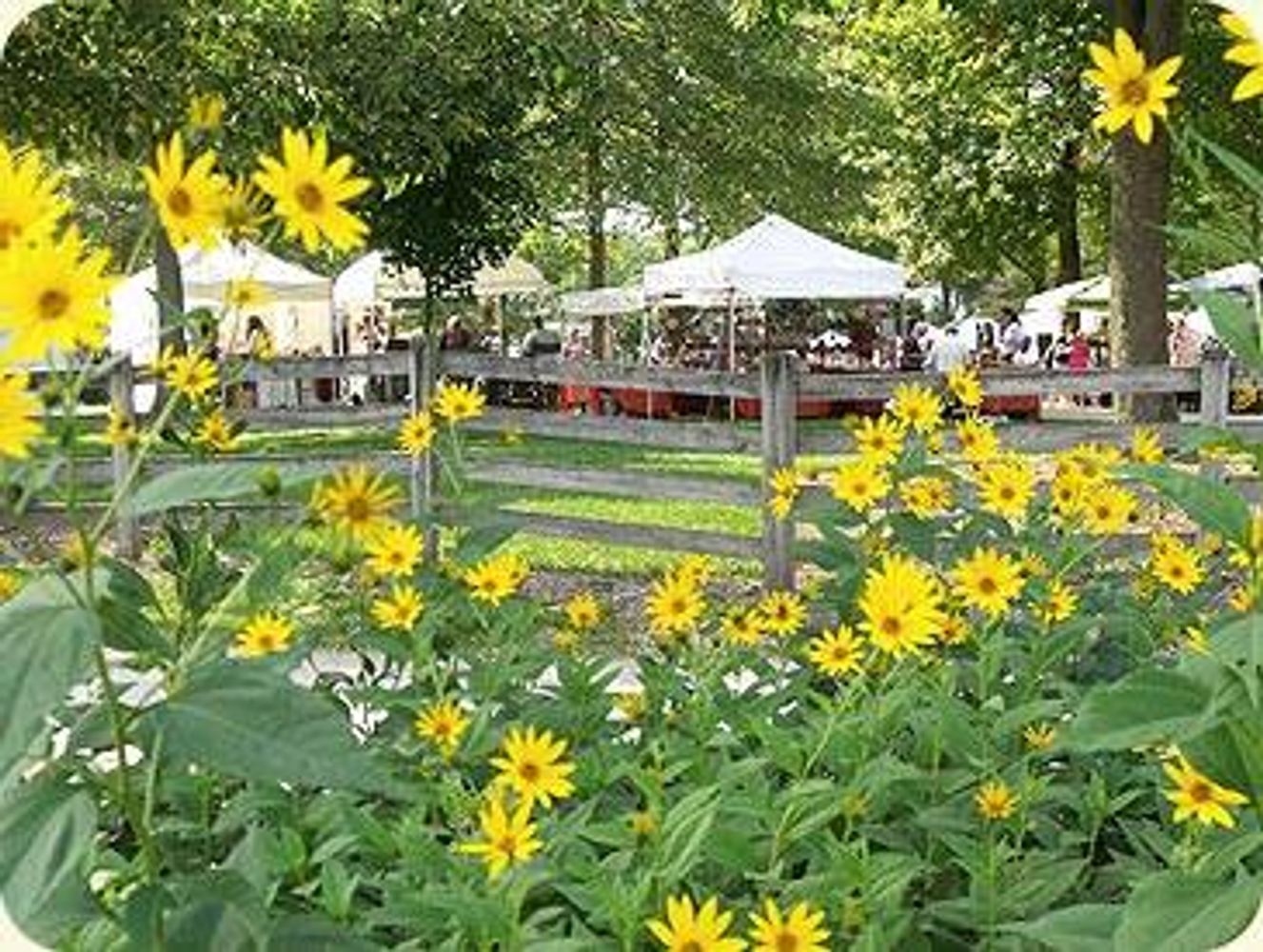 Village Peddler Festival