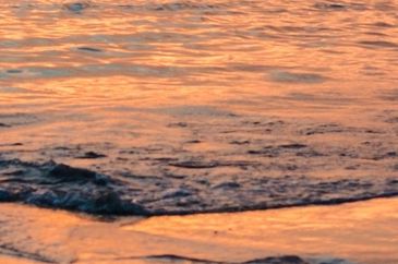 Ocean waves gently reflecting the warm colors of sunset.