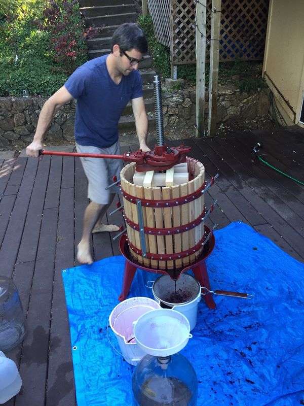 Rob with the wine press. Rothman Wines. 