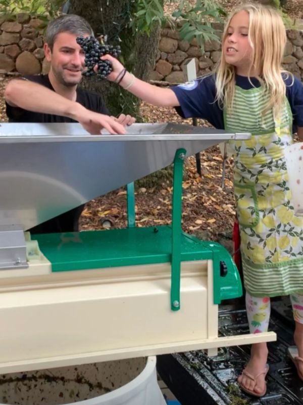 Rob & Luisa crushing Barbera wine grapes.  Rothman Wines.  