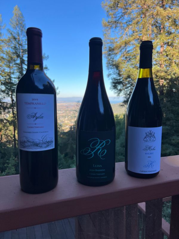 Ayla, Luisa and Miles.  Rothman Wines. 