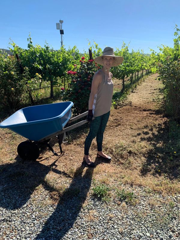 Leah at Cavern Vineyards.  Rothman Wines. Rose Bushes at the end of the rows. Vineyard. 
