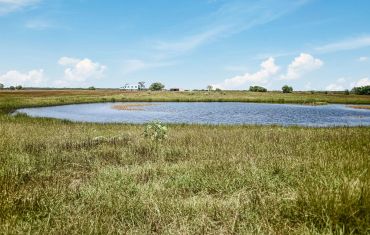 A small pond surrounded by grassy fields under a blue sky.