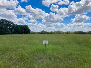 Open grassy field under a partly cloudy sky with a small sign labeled 442.