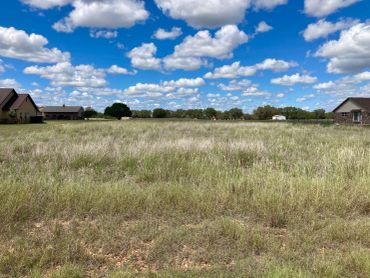 Open grassy field with scattered houses under a blue sky with fluffy clouds.
