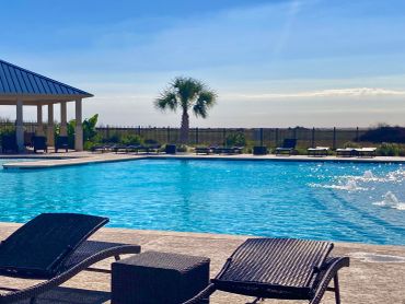 Sunny outdoor pool with lounge chairs and palm tree under a clear blue sky.