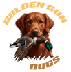 Golden Gun Dogs