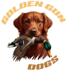 Golden Gun Dogs