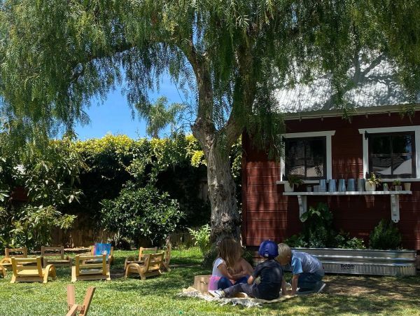 Children playing under a tree in a backyard.