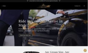 Client website preview