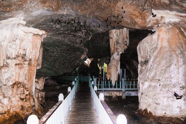 Bats Cave in Kilim Geoforest Park During a Private Langkawi Cruise to Tanjung Rhu