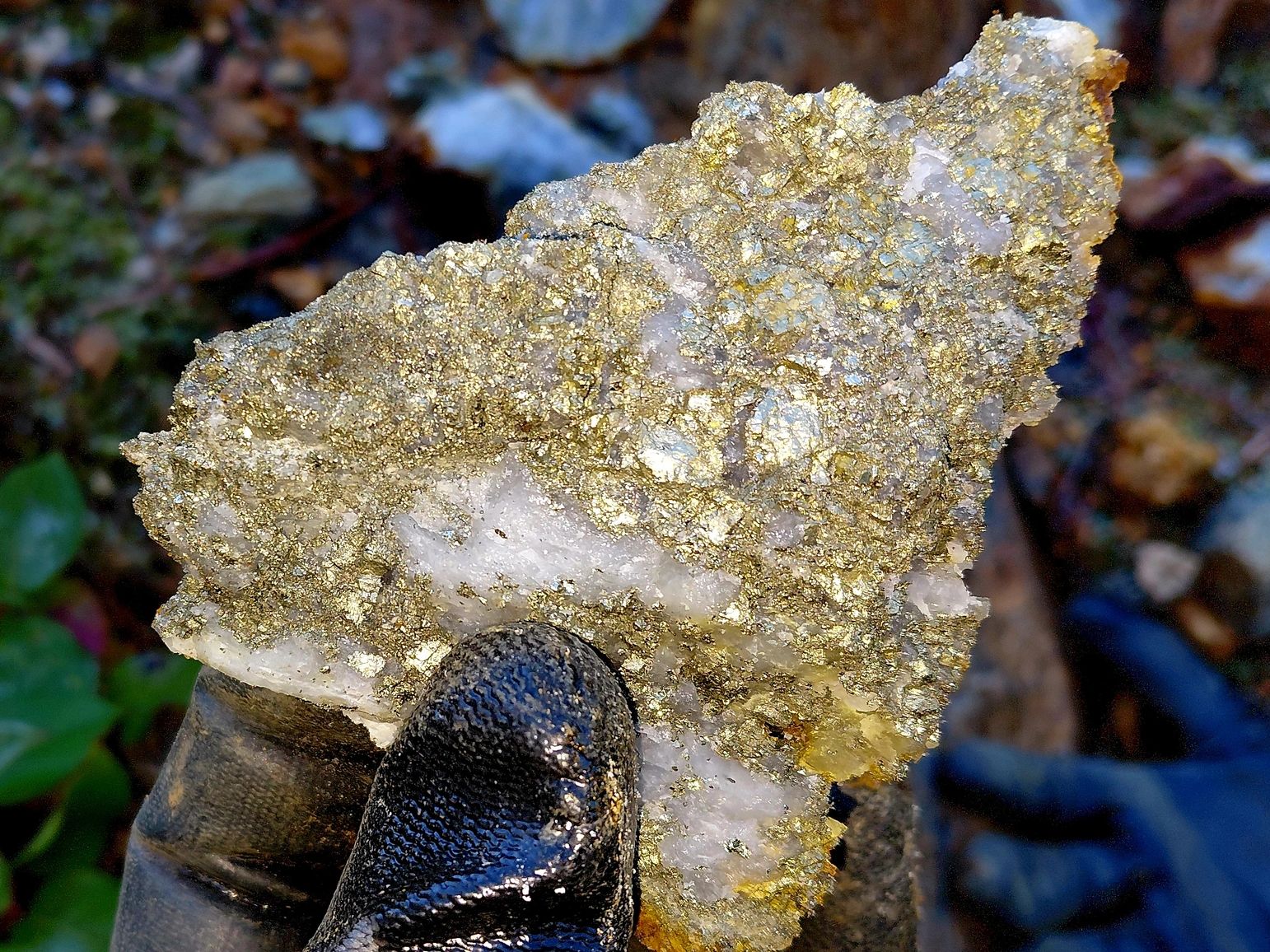 Hand holding a gold-speckled quartz rock.