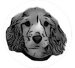 SLB Canine Care