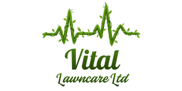Green logo with heartbeat design and text 'Vital Sportswear'