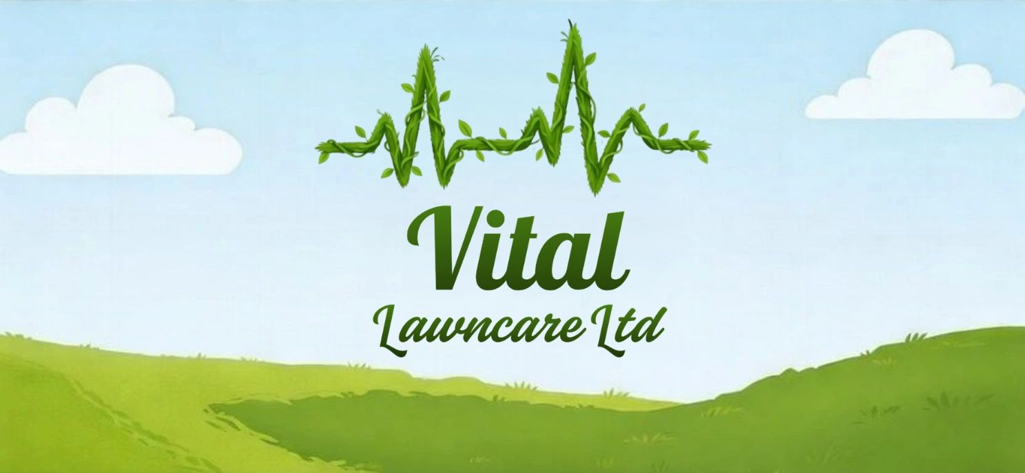 Stack of books next to pencils in a holder and a camera.