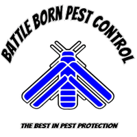 Battle Born Pest