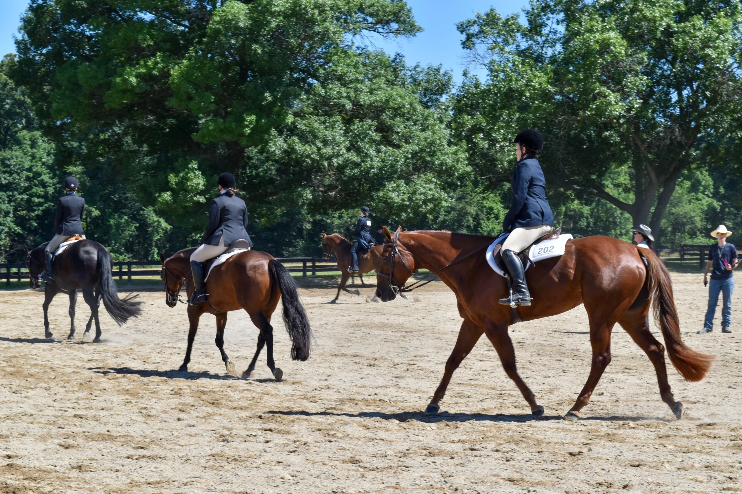 Spur of The Moment Horse Shows