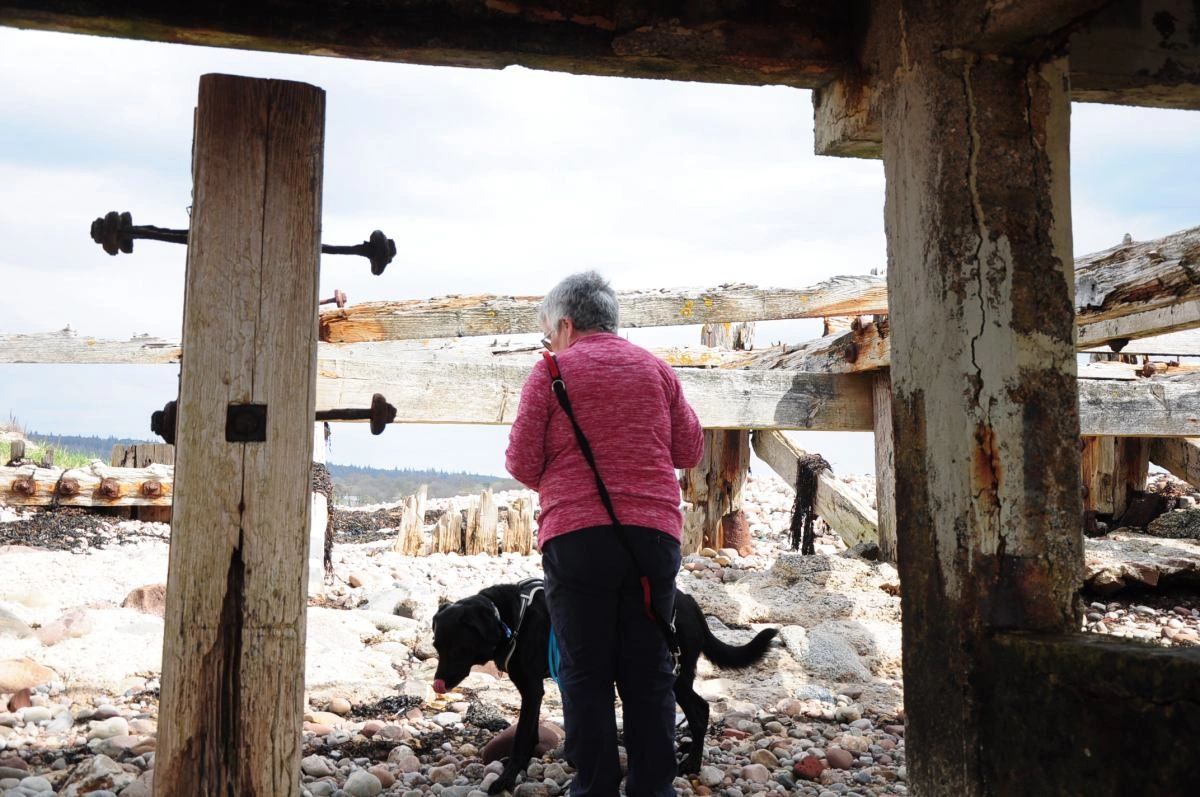 Mantrailing under an old pier in Golspie