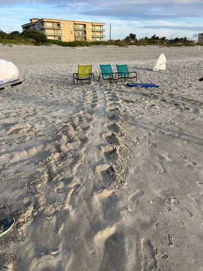 Turtle tracks lead to the ocean past beach chairs and sand.