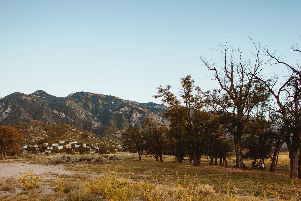 Picture of the Muir-Poulsen land, 2023, before the apricot trees were planted. 
