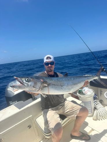 The king mackerel surmayi or kingfish, is a migratory species of mackerel 
