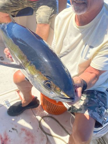 Yummy Balckfin Tuna! No cooking required