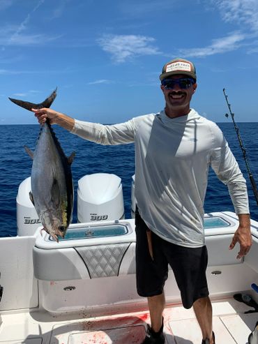 Blackfin Tuna is occasionally referred to as the Bermuda tuna blackfinned albacore deep bodied Tunny