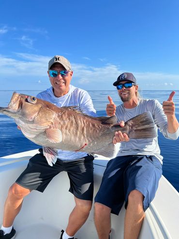 Deep Water Snowy Grouper. Yummy