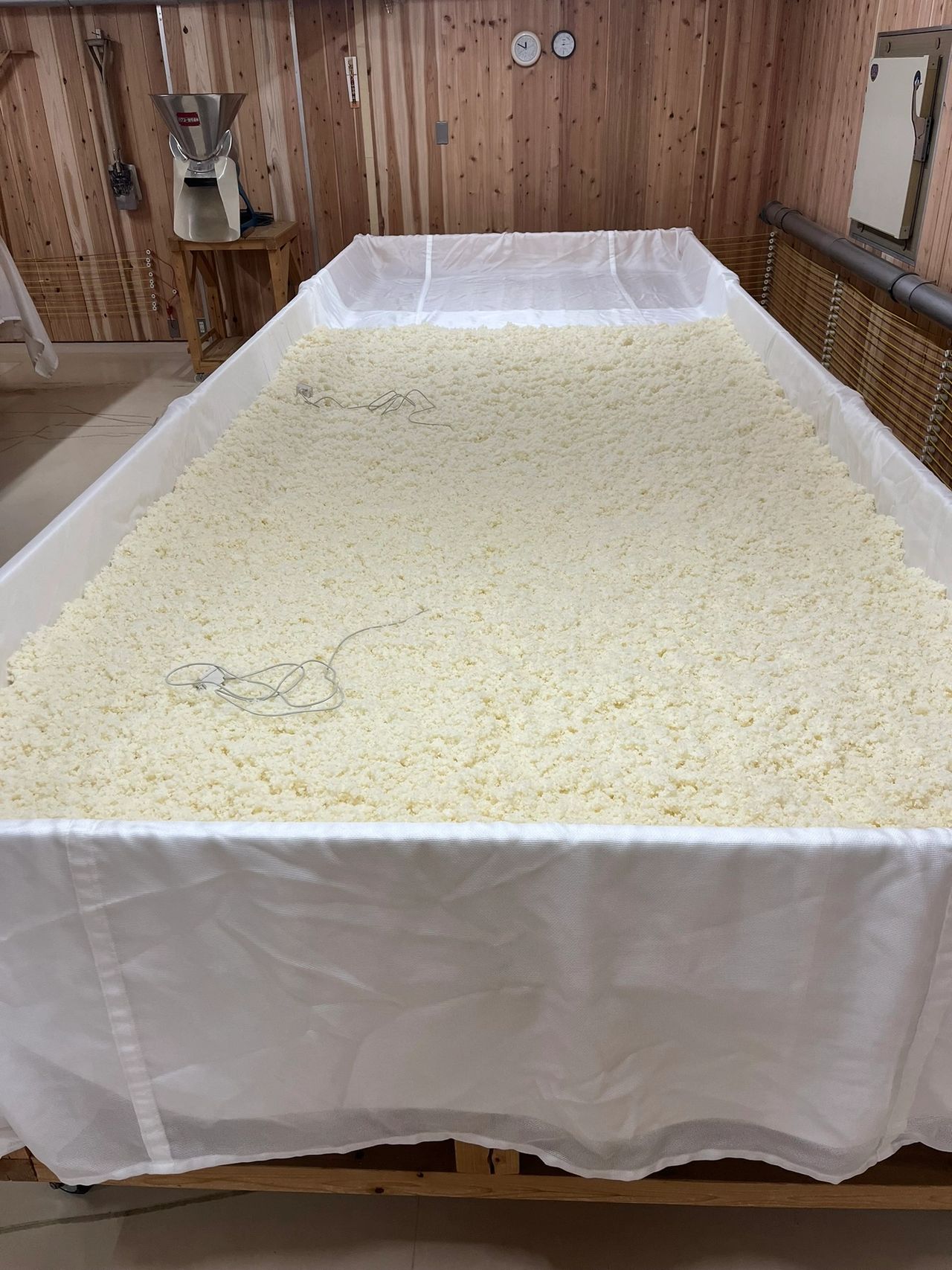 koji rice on a koji table in a koji room at a Japanese sake brewery for making Japanese sake