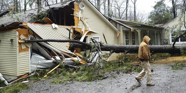 Tree fallen on damaged house after a storm.