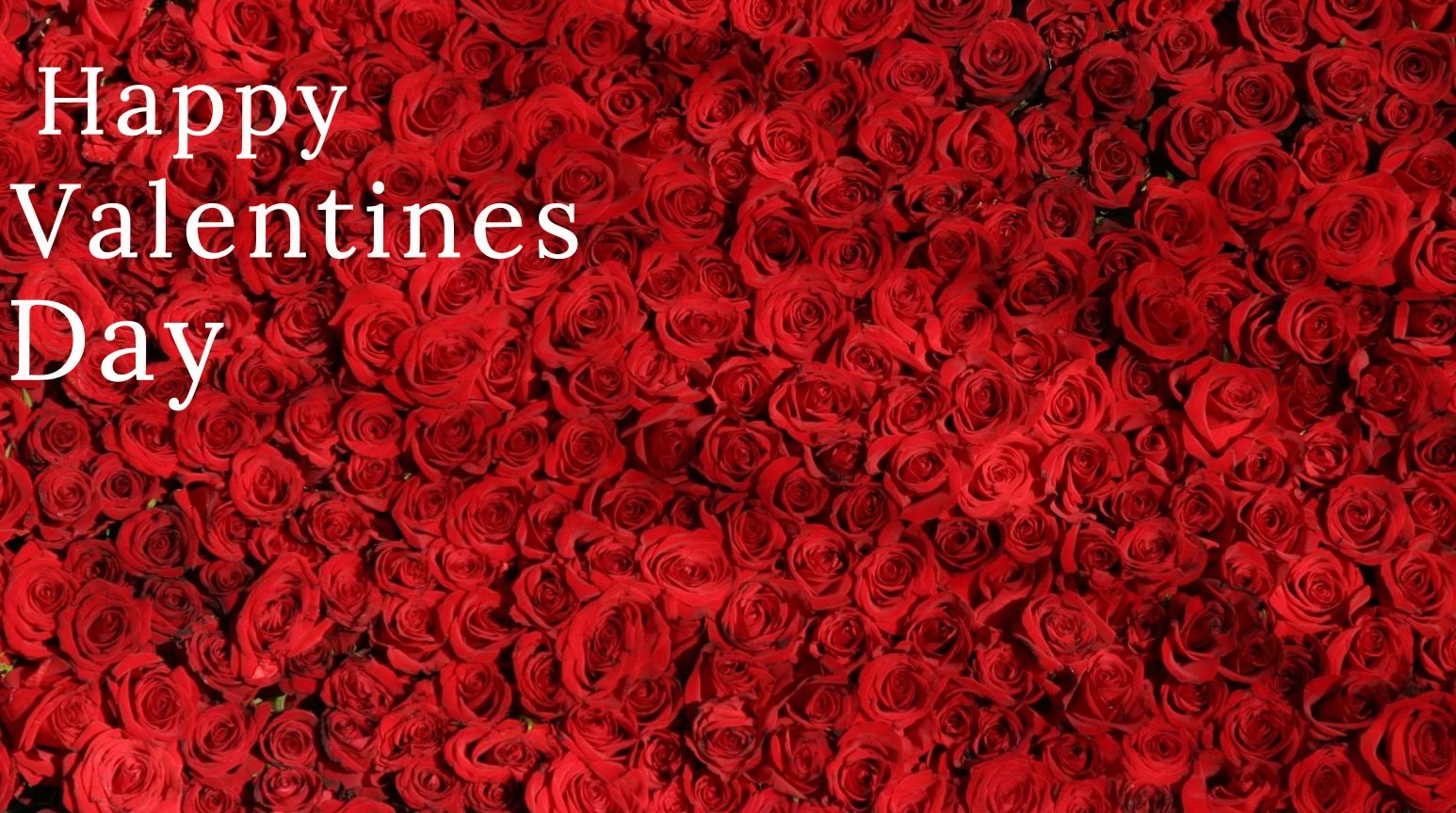 Nicholas Michaels Spa