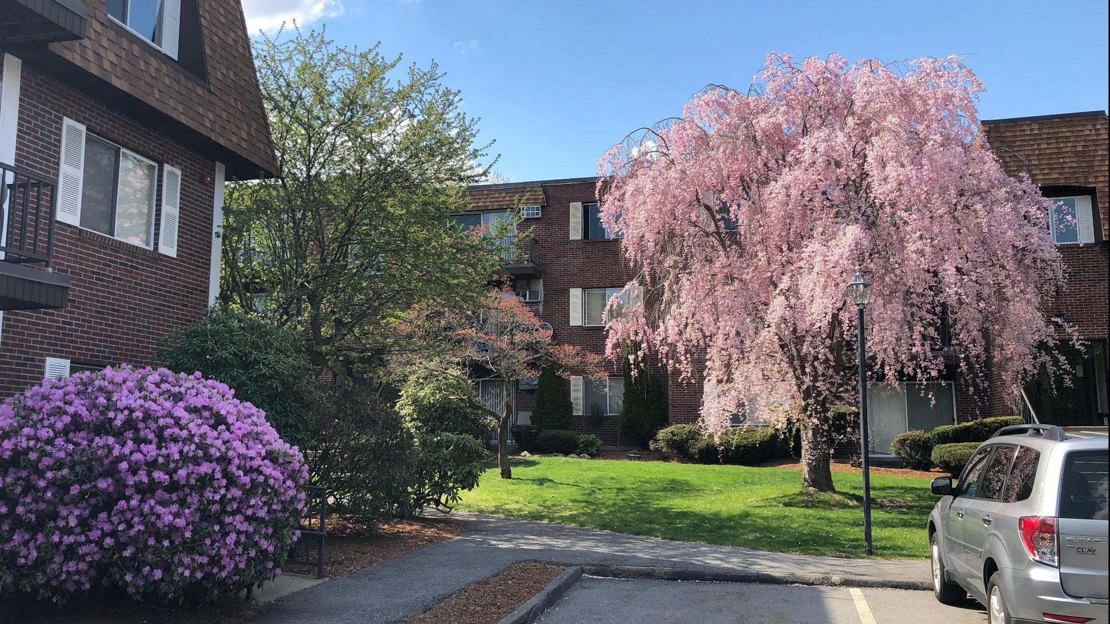 Apartments, Rental Nahatan Terrace Norwood, Massachusetts