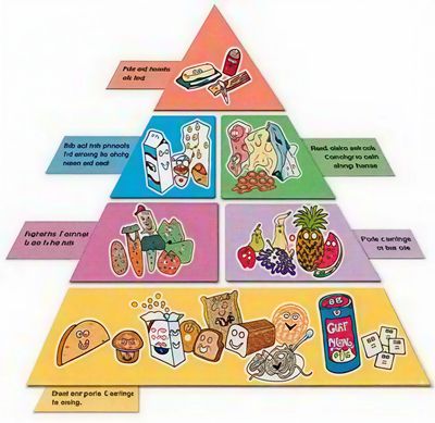  Illustrated guide for healthy eating.
