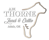 A W Thorne Land and Cattle, Inc.