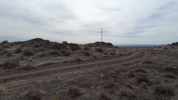 Mountain bike trails at the top of Rattlesnake Hill