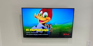 Wall-mounted flat screen TV on drywall, installed by Awesome TV Mounting in Bradenton, FL