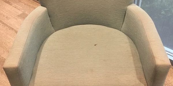 Beige upholstered armchair with wooden legs on carpeted floor.