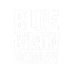Blue Brain Foundry