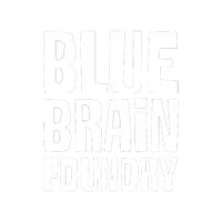 Blue Brain Foundry