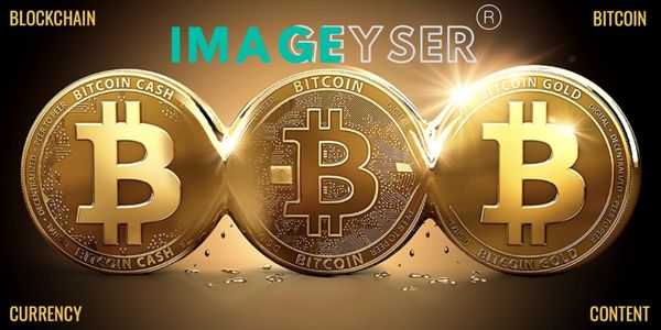 A Blockchain Solution with a Currency Exchange, and Digital Wallet for Cyptocurrency trading.